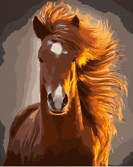 Картина по номерам Рыжая лошадь