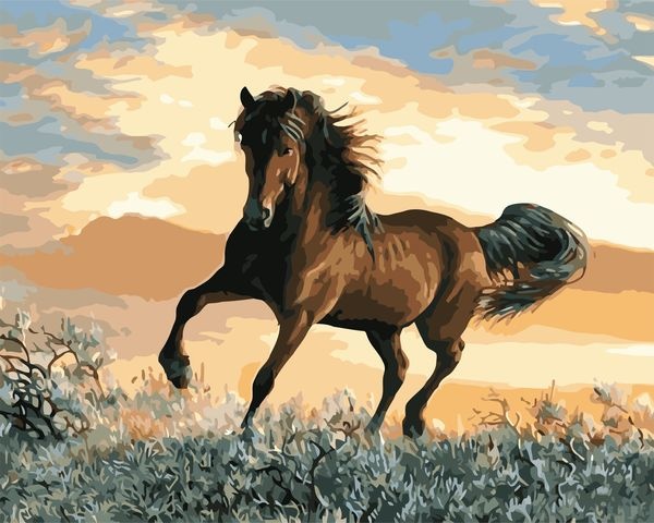 Картина по номерам Горделивый конь