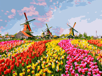 Картина по номерам Разноцветное поле тюльпанов