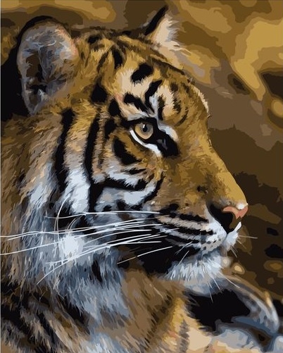 Картина по номерам Тигр
