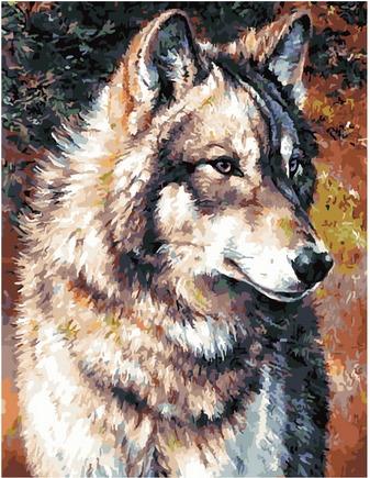 Картина по номерам Гордый волк 