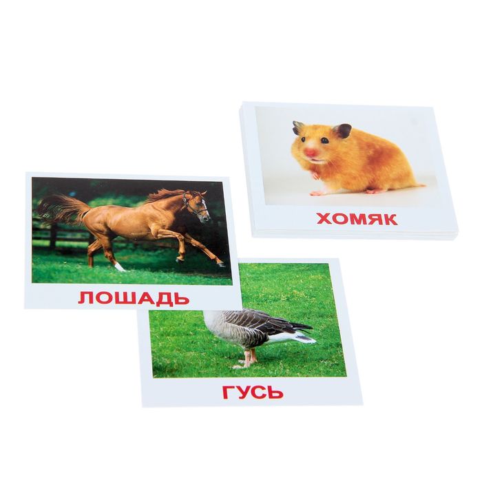 Набор карточек МИНИ 20 Домашние животные