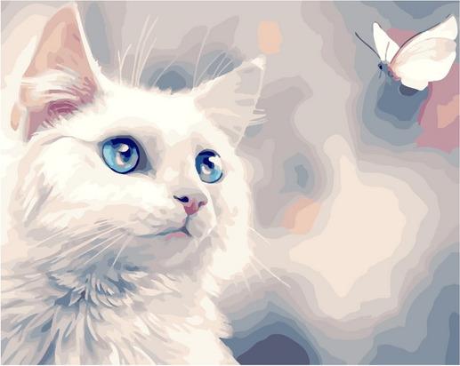 Картина по номерам Белоснежный котик 